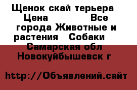 Щенок скай терьера › Цена ­ 20 000 - Все города Животные и растения » Собаки   . Самарская обл.,Новокуйбышевск г.